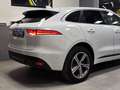 Jaguar F-Pace F-Pace 2.0 i4 R-SPORT AWD 250CV_SERVICE_LED_TETTO! Bianco - thumbnail 4