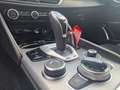 Alfa Romeo Giulia Giulia 2.0 Turbo 16V AT8-Q4 Veloce Rouge - thumbnail 16