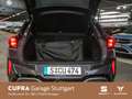 CUPRA Terramar VZ 2.0 TSI 195 kW (265 PS) 7-Gang DSG 4 Violett - thumbnail 12