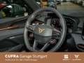CUPRA Terramar VZ 2.0 TSI 195 kW (265 PS) 7-Gang DSG 4 Violett - thumbnail 7