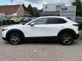 Mazda CX-30 2.0 e-SkyActiv-X M Hybrid 100th Anniversary Ed. 18 Blanco - thumbnail 4