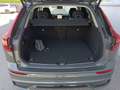 Volvo XC60 Plus, T6 AWD Plug-in Hybrid, Elektrisch/Benzin, Dark Grün - thumbnail 14