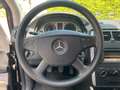 Mercedes-Benz B 170 NGT,Panoramad,Klima,Sitzhzg,Ahk Schwarz - thumbnail 10