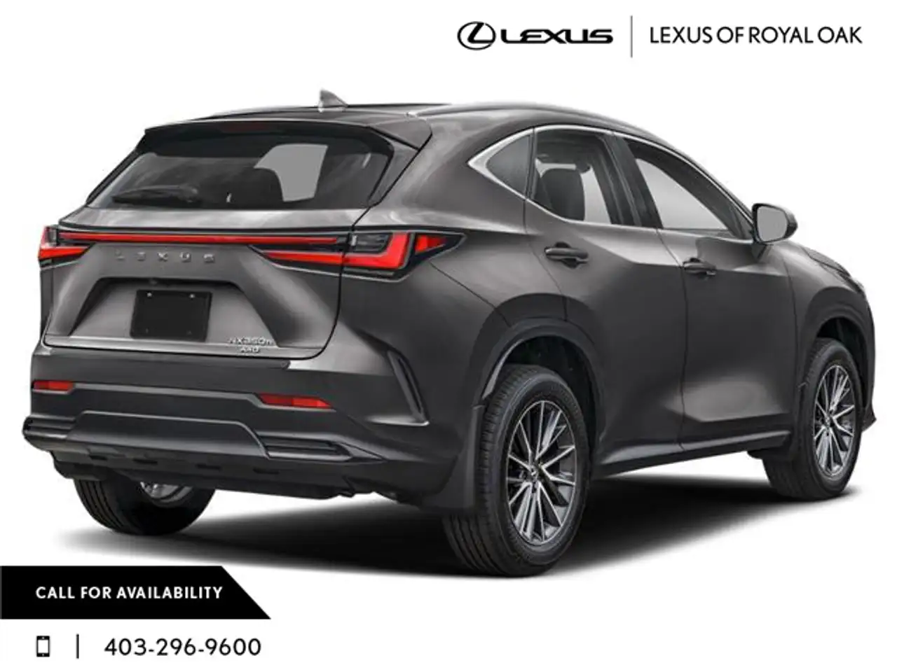 Lexus NX fotografie Lexus NX