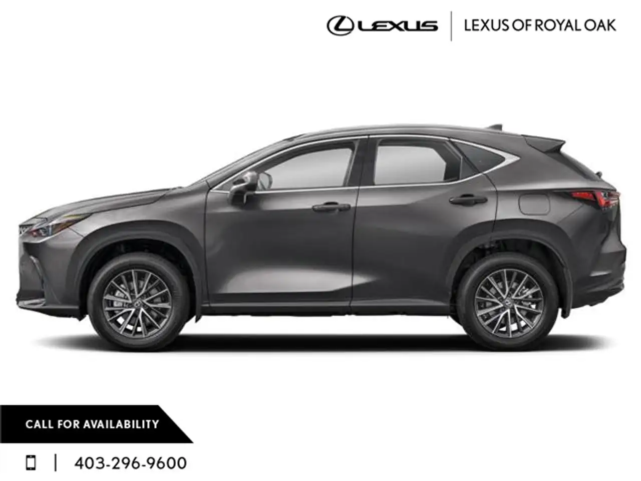 Lexus NX fotografie Lexus NX