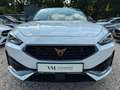 CUPRA Leon 1.4 e-HYBRID VZ DSG Navi*ACC*StandHz.*Kam Weiß - thumbnail 2