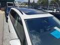 Volkswagen Touran Touran Sky 2,0 TDI SCR DSG Sky Weiß - thumbnail 5