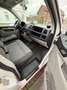 Volkswagen T6 Transporter Transporter T6 MHD Kurz Alb - thumbnail 5
