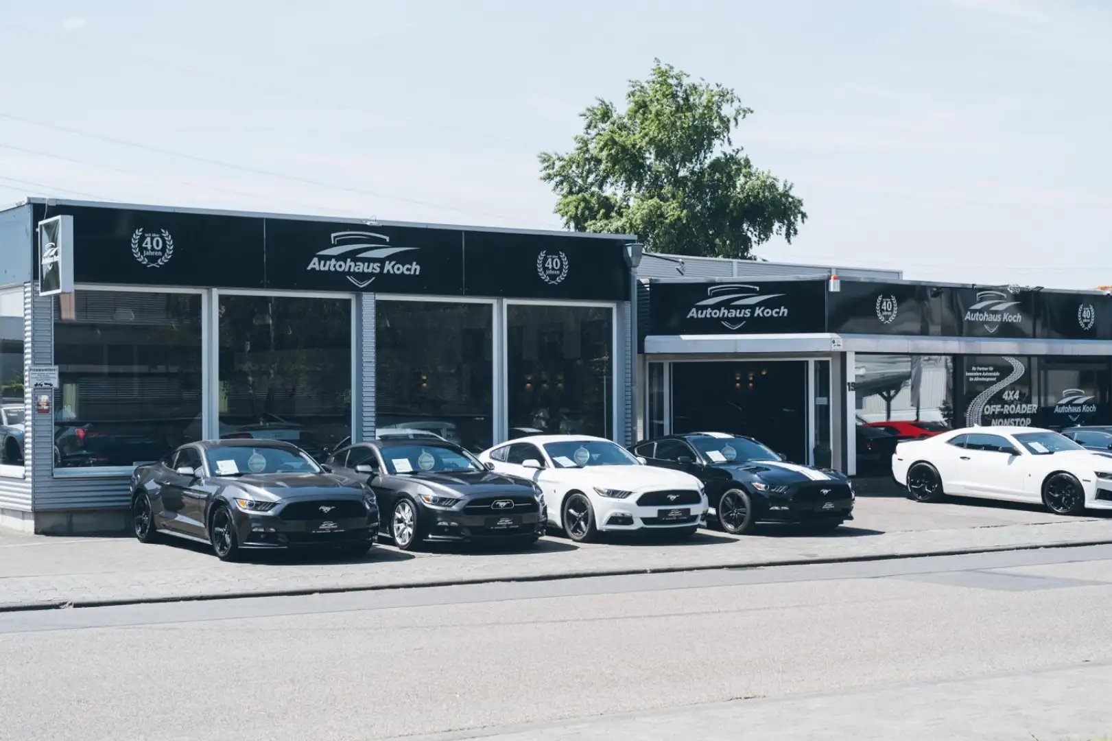 Ford Mustang MUSTANG 5.0 V8 #CERVINI! - SOUND. POWER. PRÄSENZ Rot - 1