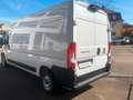 Fiat Ducato Grossr.-Kasten 35 140 L4H2 RS: 4035 mm Weiß - thumbnail 5