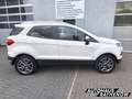 Ford EcoSport Titanium 1.0 EcoBoost Klimaautom SHZ Keyless Entry Weiß - thumbnail 8