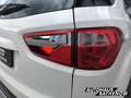Ford EcoSport Titanium 1.0 EcoBoost Klimaautom SHZ Keyless Entry Weiß - thumbnail 7