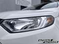 Ford EcoSport Titanium 1.0 EcoBoost Klimaautom SHZ Keyless Entry Weiß - thumbnail 2