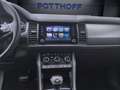 Skoda Kodiaq 2.0 TDI DSG AMBITION NAVI AHK KLIMA PDC Grau - thumbnail 14