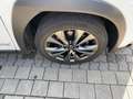 Lexus UX 250h UX 250 h 250h F Sport ACC FLA 360 SpurW Leder Bílá - thumbnail 6