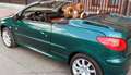 Peugeot 206 CC 135 Roland Garros - thumbnail 5