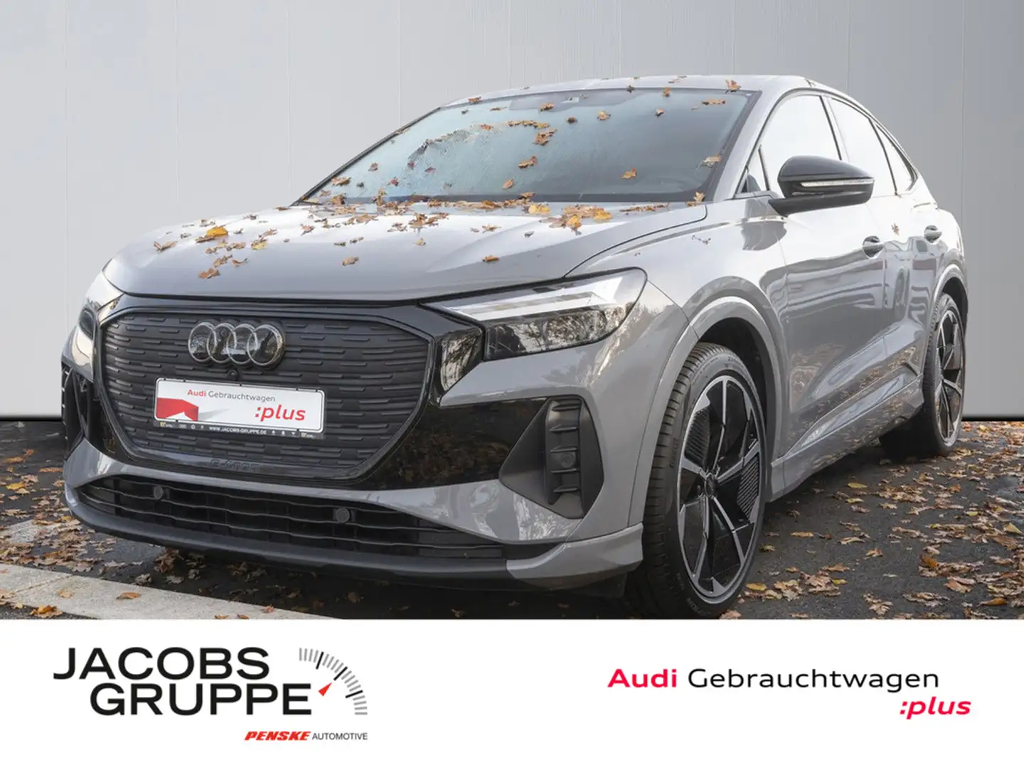 Audi Q4 e-tron Grau - 1