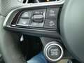 Alfa Romeo Stelvio 2.0 Turbo KAT Gris - thumbnail 23