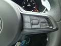 Alfa Romeo Stelvio 2.0 Turbo KAT Gris - thumbnail 24
