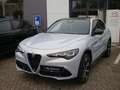 Alfa Romeo Stelvio 2.0 Turbo KAT Gris - thumbnail 2