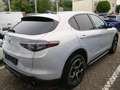 Alfa Romeo Stelvio 2.0 Turbo KAT Gris - thumbnail 5