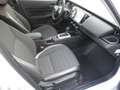 Honda Jazz 1,5 i-MMD Hybrid Crosstar Advance Aut. Weiß - thumbnail 10