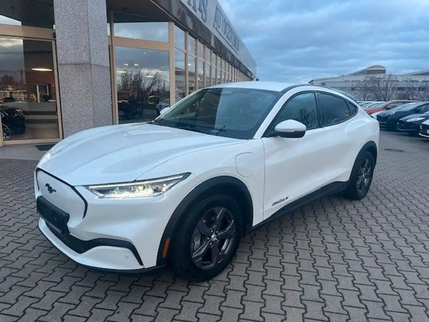 Ford Mustang Mach-E Basis Bílá - 1