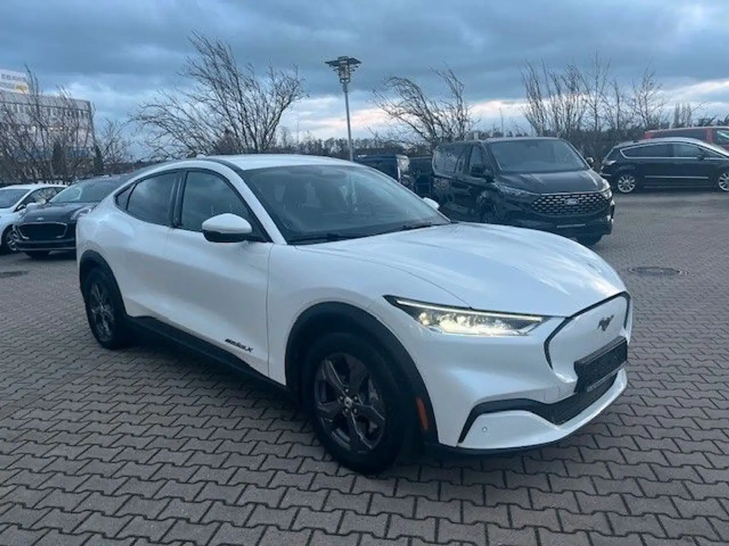 Ford Mustang Mach-E Basis Bílá - 2