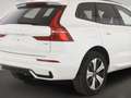 Volvo XC60 T6 Plus Dark Recharge Plug-In Hybrid AWD EU6e Voll Weiß - thumbnail 4