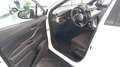 Toyota C-HR C-HR I 2020 1.8h Active e-cvt Blanc - thumbnail 12