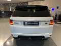 Land Rover Range Rover Sport 3.0 TDV6 HSE Dynamic Restyling Weiß - thumbnail 3