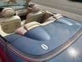 Mercedes-Benz CLK 500 AMG Cabrio, Ex Kanye West, orig. 79500 km,Garantie Azul - thumbnail 16
