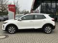 Kia Stonic 1.0 T Vision LED Naviagtion Weiß - thumbnail 4