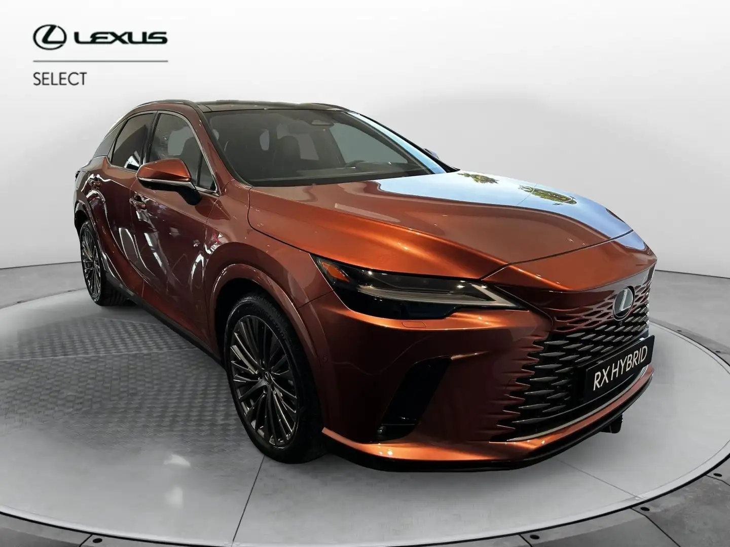 Lexus RX 450h RX 450h Plug-in Hybrid Luxury Bronzo - 1