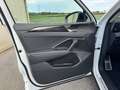 Volkswagen Tiguan 1,5 eTSI ACT Life DSG *GOAL: LED Plus; NAVI; SHZ* Weiß - thumbnail 7