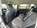 Volkswagen Tiguan 1,5 eTSI ACT Life DSG *GOAL: LED Plus; NAVI; SHZ* Weiß - thumbnail 24