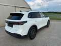 Volkswagen Tiguan 1,5 eTSI ACT Life DSG *GOAL: LED Plus; NAVI; SHZ* Weiß - thumbnail 4