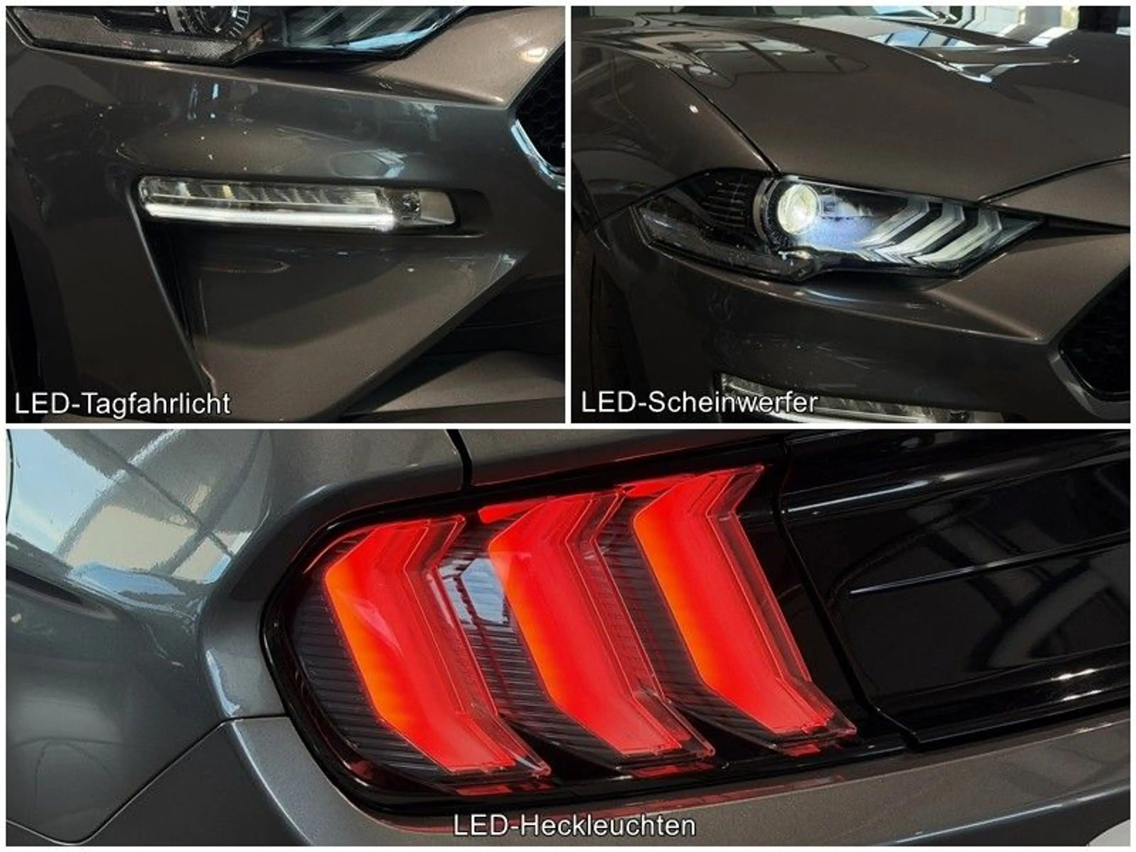 Ford Mustang 5.0 Ti-VCT V8 Fastback GT Navi Sbel B&O — photo 8
