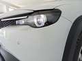 Mazda MX-30 e-SKYACTIV R-EV 125KW 170CV AT 2WD ADVENTAGE MODER - thumbnail 11