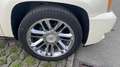 Cadillac Escalade 6.0 V8 hybrid Sp.Luxury auto - thumbnail 4