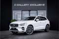Volvo XC60 2.0 T6 Plug-in hybrid AWD Ultimate Bright - Panora Bianco - thumbnail 3