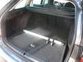 Skoda Octavia Combi 1.5 TSI e-TEC DSG Selection *Facelift* Gris - thumbnail 13