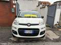 Fiat Panda 0.9 t.air t. 4x4 s&s 85cv my19 Van Blanc - thumbnail 13