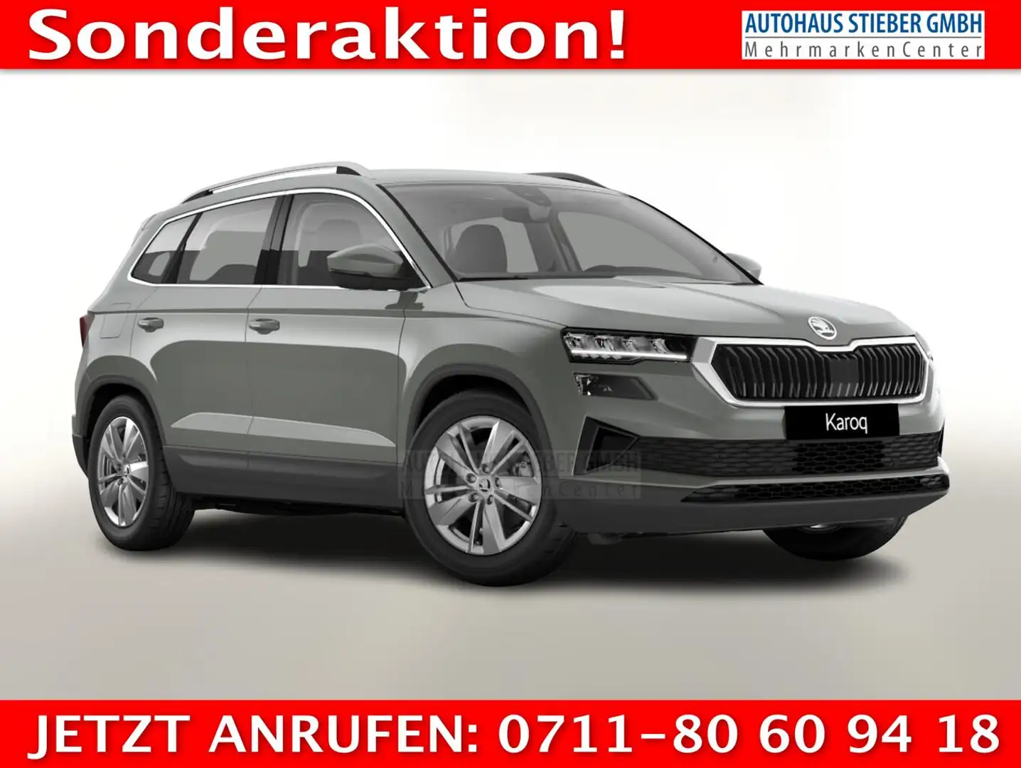 Skoda Karoq Selection TDI 150 DSG Selec LED Nav Kam SHZ Sun... Grau - 1