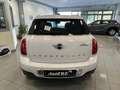 MINI Cooper D Countryman Mini Countryman 2.0 Cooper D auto-TETTO Blanco - thumbnail 6