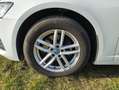 Audi A6 Avant 35 TDI S-tronic+4xWR+4xAlu,ACC,Paket Tour... Weiß - thumbnail 3