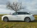 Audi A6 Avant 35 TDI S-tronic+4xWR+4xAlu,ACC,Paket Tour... Weiß - thumbnail 2