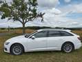 Audi A6 Avant 35 TDI S-tronic+4xWR+4xAlu,ACC,Paket Tour... Weiß - thumbnail 6