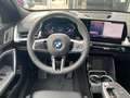 BMW X2 sDrive20i M Sport Park-Assistent HUD Iconic Glow Grau - thumbnail 10