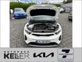 Kia Stonic 1.2 Vision Navi SHZ Lenkradheizung Blanc - thumbnail 15